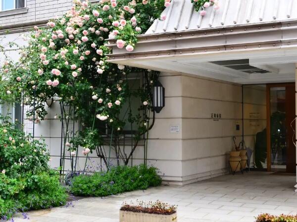 正岡産婦人科病院（常勤）の管理栄養士求人メイン写真3