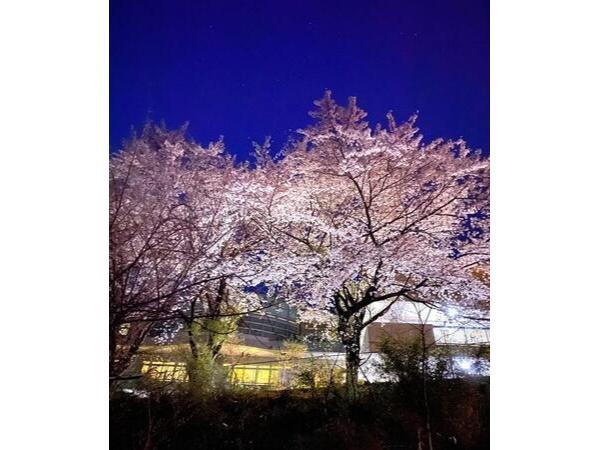 デイサービスセンター 梅の郷（常勤）の介護福祉士求人メイン写真4