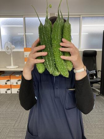 株式会社ノヴァメディカルサービス 鳩ケ谷サテライト（2026年3月オープン / パート）の作業療法士求人サブ写真5