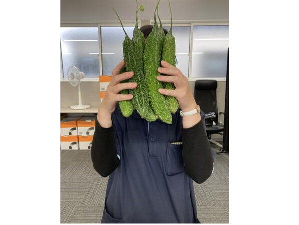 株式会社ノヴァメディカルサービス 鳩ケ谷サテライト（2026年3月オープン / 常勤）の看護師求人サブ写真5