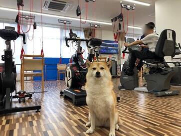 リボンリハ＆スパセンター平岸（常勤）の理学療法士求人メイン写真5