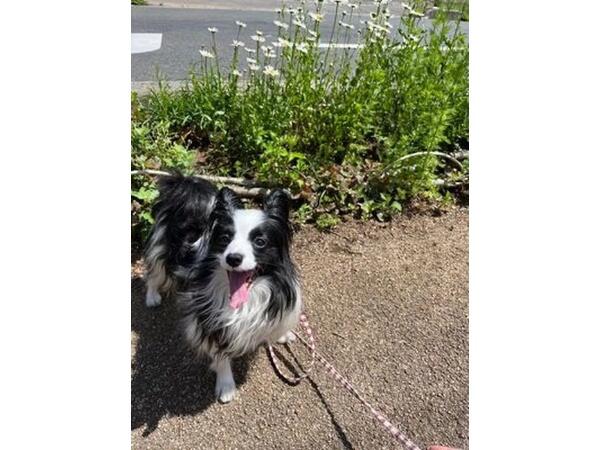 P☆Aファーム（パート）の支援員求人メイン写真5