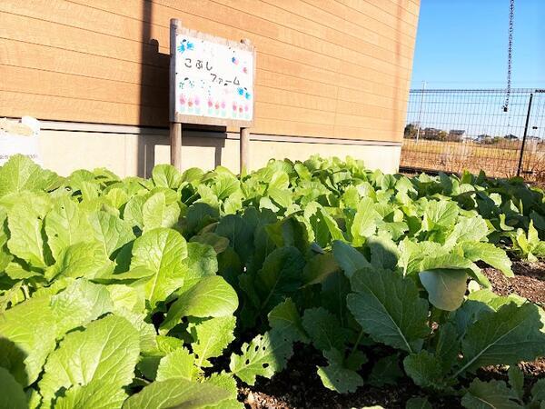 株式会社ユア（東武東上線エリア登録保育スタッフ/パート）の保育士求人メイン写真4