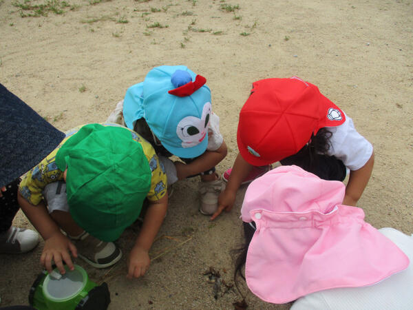 高月ひよっこ保育園（パート）の看護師求人メイン写真4