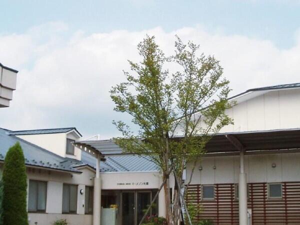 障がい者支援施設 マ・メゾン光星（契約職員）の支援員求人メイン写真3