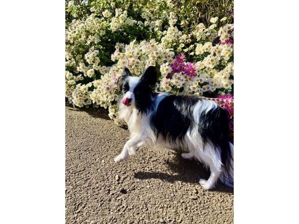 P☆Aファーム（夜間 / パート）の支援員求人メイン写真4