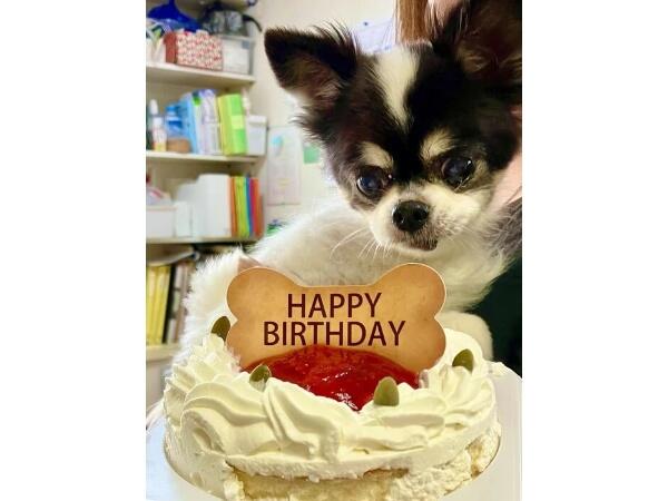 P☆Aファーム（パート）の支援員求人メイン写真3