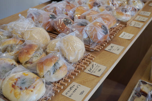 ココロネ板橋（職業指導員/日勤常勤）の支援員求人メイン写真3