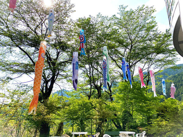 デイサービスセンター 梅の郷（常勤）の准看護師求人メイン写真3