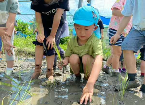 幼保連携型 認定こども園  神田保育園の調理師/調理員求人メイン写真5