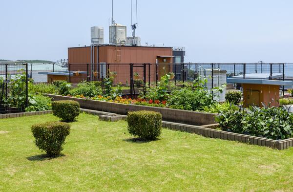 デイサービス 平塚富士白苑（常勤）の介護職求人メイン写真2