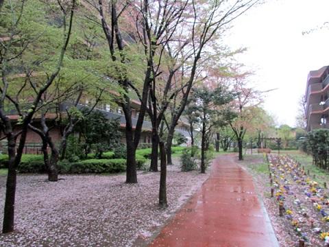 浴風会病院（医事課長補佐候補/常勤）の医療事務求人サブ写真2