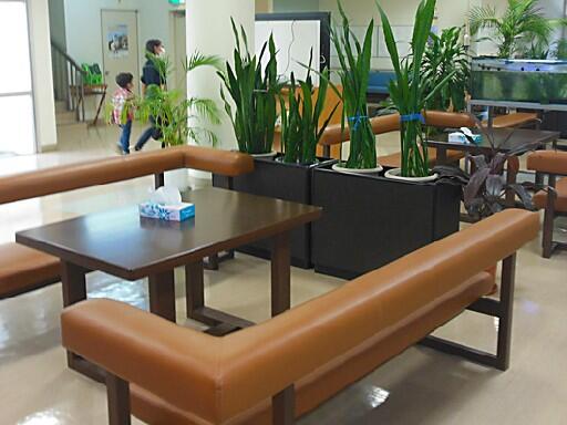 名護厚生園（嘱託職員/常勤）のケアマネジャー求人メイン写真2