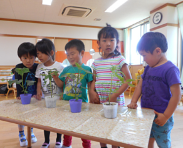 しんあい保育園（保育士・常勤） の保育士求人メイン写真4