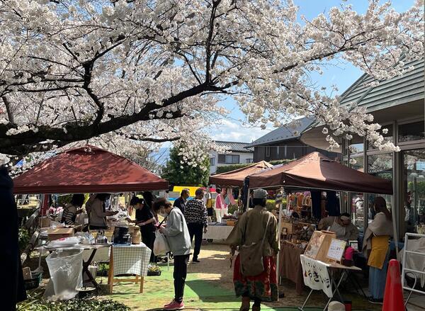 特別養護老人ホーム寿ノ家（常勤）のケアマネジャー求人メイン写真4