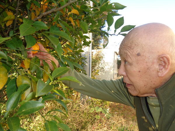 グループホームももの花（常勤）の介護職求人メイン写真3