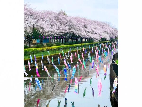 つつじの里三角公園デイサービス（パート）の看護師求人メイン写真5