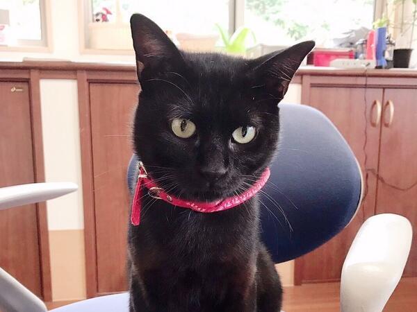 グループホーム上埴生の郷（パート）の介護福祉士求人の写真