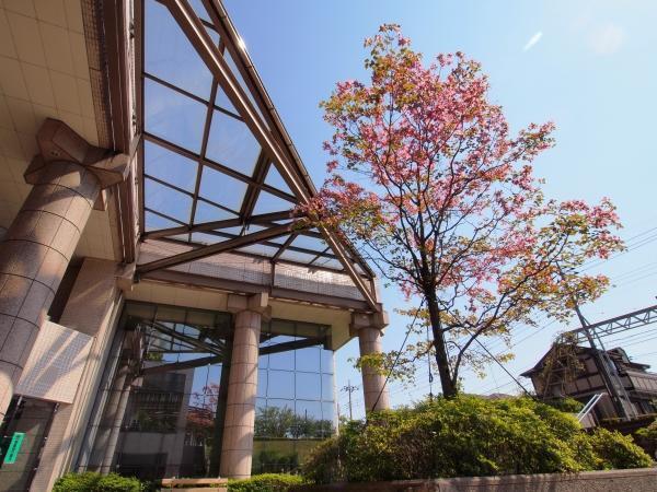 国際親善総合病院（常勤）の言語聴覚士求人メイン写真3