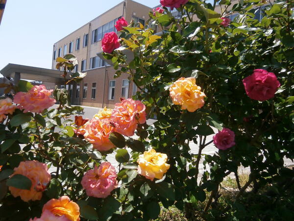 斐川生協病院（常勤）の薬剤師求人メイン写真2