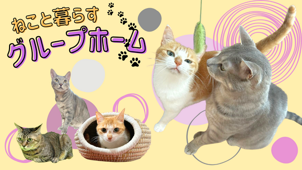 グループホーム風鈴花（パート）の介護福祉士求人の写真