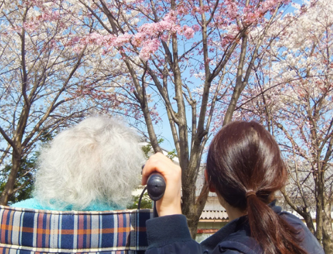 訪問介護ステーションみどり（パート） の介護職求人の写真