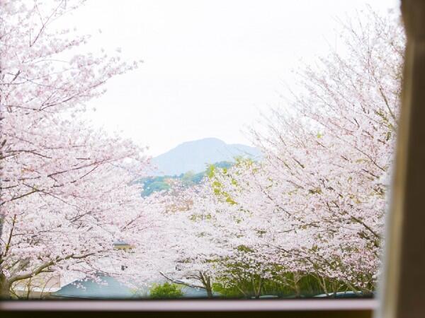 ショートステイ　さくらの里ほほえみ（生活相談員/常勤）の介護福祉士求人メイン写真2