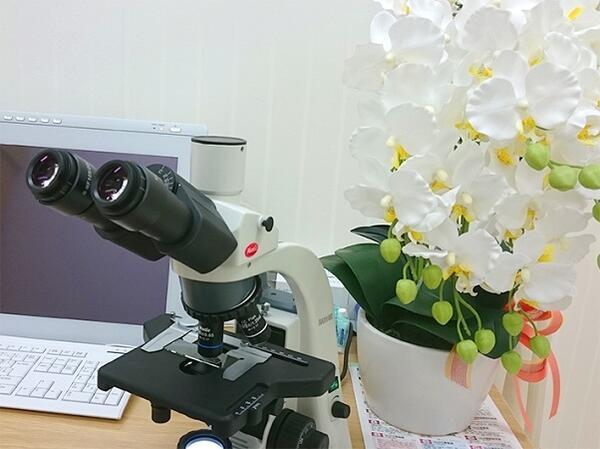 千川さくら皮フ科クリニック （常勤）の臨床検査技師求人メイン写真4