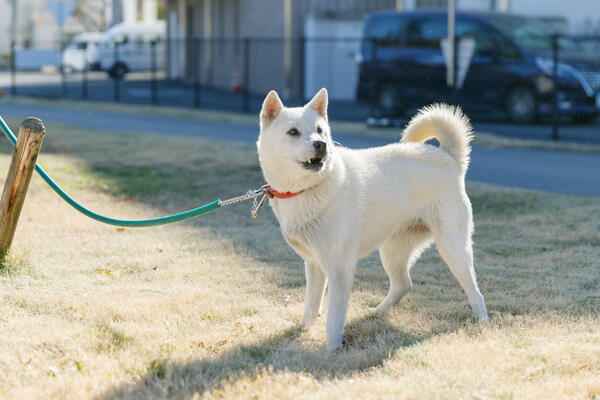 つかまの里（常勤）の准看護師求人メイン写真3