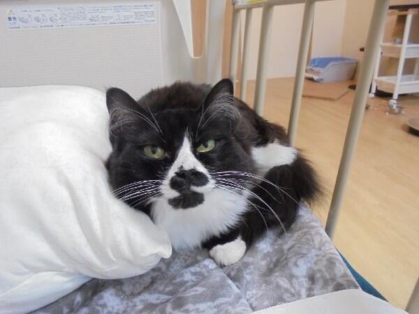 みんなの家東入部（遅番パート）の介護職求人メイン写真3