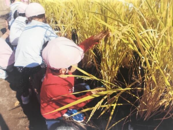 西蒲田保育園（契約社員）の栄養士求人メイン写真5