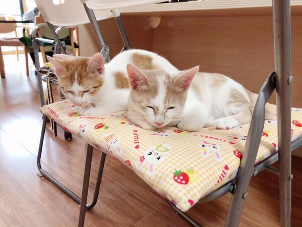 グループホーム風鈴花（パート）の介護福祉士求人サブ写真3