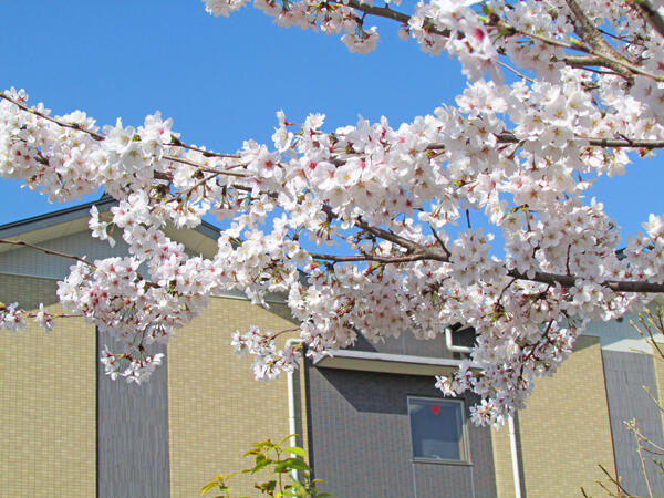 特別養護老人ホームなごみの里（パート）の介護職求人メイン写真3