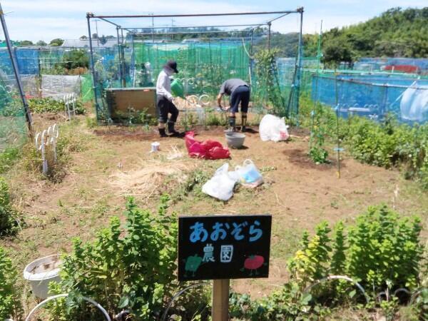 看護小規模多機能あおぞら（常勤）【2026年8月オープン】の看護師求人メイン写真2