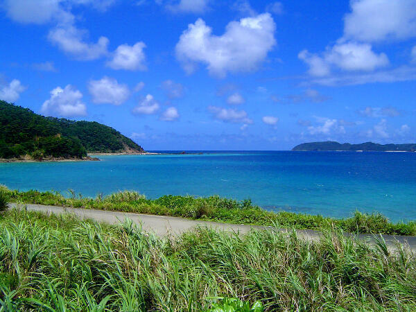 奄美中央病院（パート）の看護師求人サブ写真1