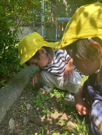 あじや保育園OHANA～オハナ～（契約社員/常勤）の看護師求人サブ写真1