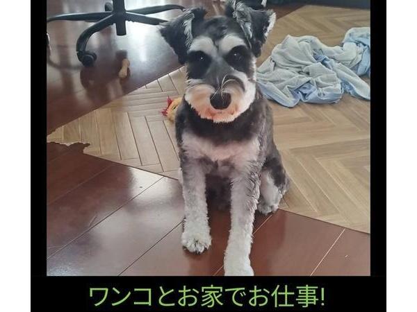 陽だまりケア横浜矢向（常勤）のケアマネジャー求人の写真