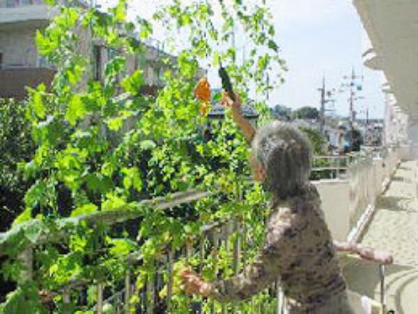 浅川苑サービスセンター（パート）の介護職求人メイン写真3