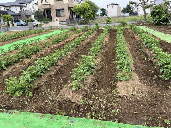 サポートハウスまなび（常勤）の介護職求人サブ写真1