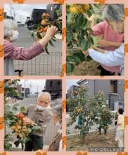 サポートハウスまなび（常勤）の介護職求人メイン写真3