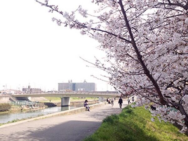 サービス付き高齢者向け住宅　コミュニティホームあんり南江口（施設長候補/常勤）の介護福祉士求人メイン写真5