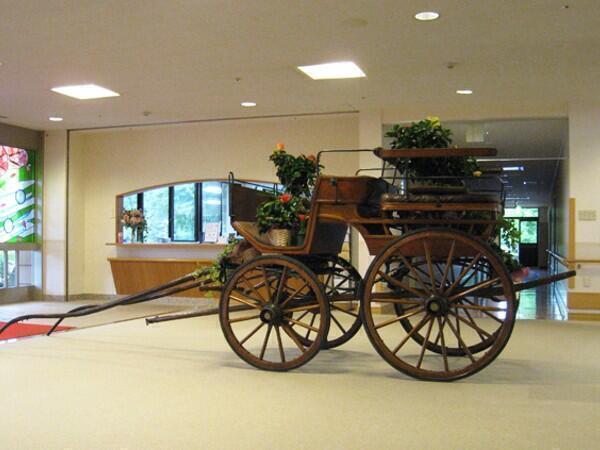 特別養護老人ホーム さくら園（常勤）の作業療法士求人メイン写真3