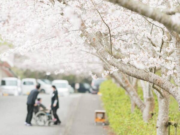 ショートステイ　さくらの里ほほえみ（常勤）の准看護師求人メイン写真5