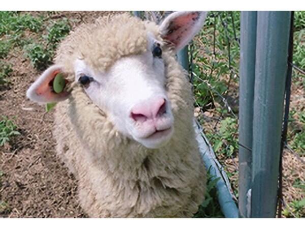 居宅支援事業所ディアコニア支援センター（主任ケアマネジャー/常勤）のケアマネジャー求人メイン写真2