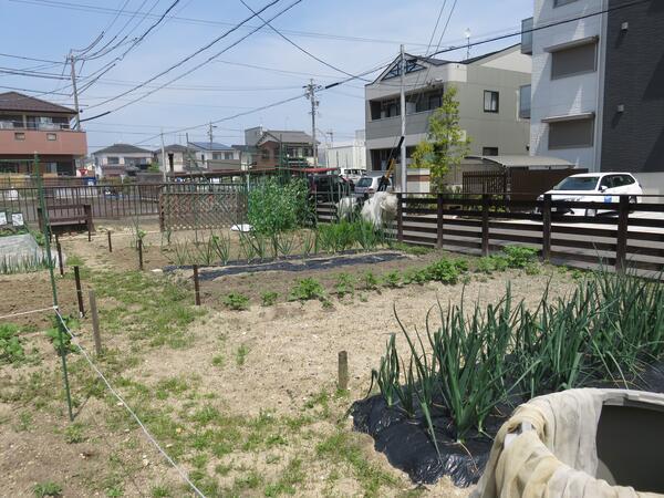 サービス付高齢者向け住宅　花べるじゅ星崎（パート）の介護福祉士求人サブ写真4