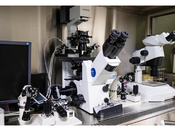 ソフィア祐子レディースクリニック（常勤）の准看護師求人メイン写真4