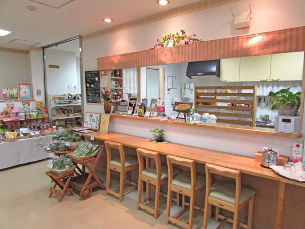 松戸市五香松飛台地域包括支援センター（主任ケアマネジャー/常勤）のケアマネジャー求人サブ写真1