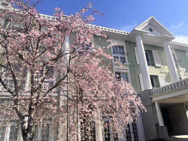 居宅介護支援事業所 よろこび（常勤）のケアマネジャー求人の写真