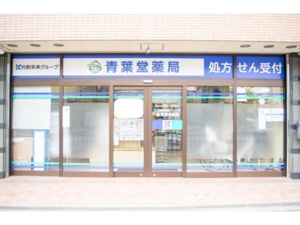 青葉堂薬局 吹田店（パート）の薬剤師求人の写真