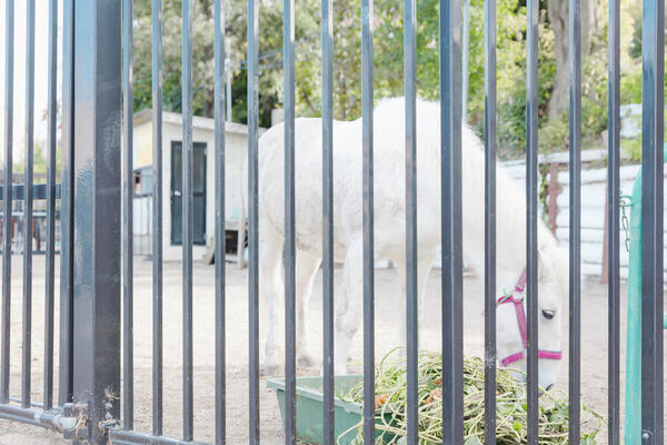 特別養護老人ホーム 寝屋川苑（常勤）の介護福祉士求人メイン写真2